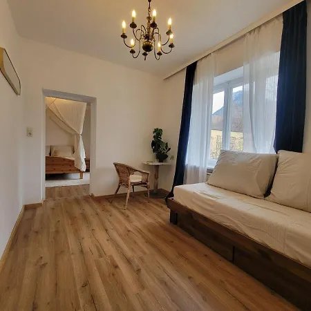 Apartment Ausseer Felsenheim - 100 Qm - Altbau Mit Garten