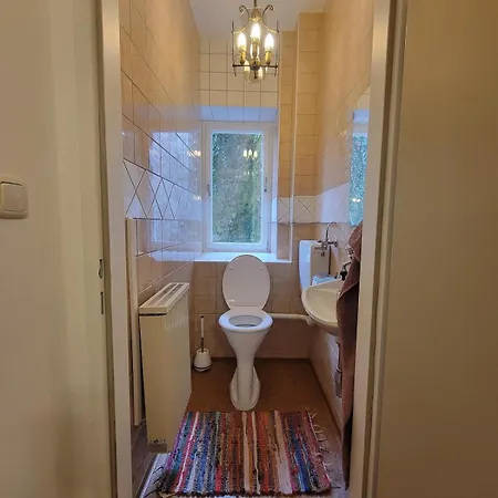 Ausseer Felsenheim - 100 Qm - Altbau Mit Garten *