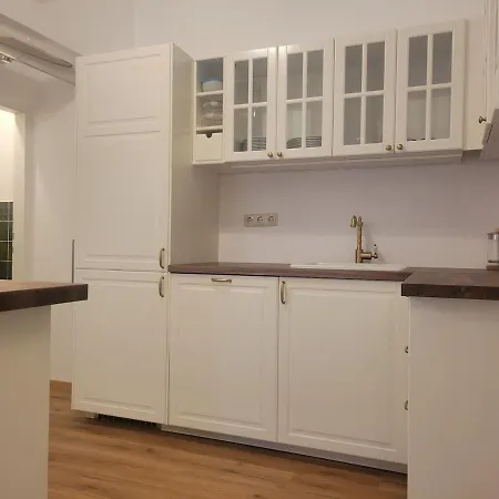 Apartment Ausseer Felsenheim - 100 Qm - Altbau Mit Garten *