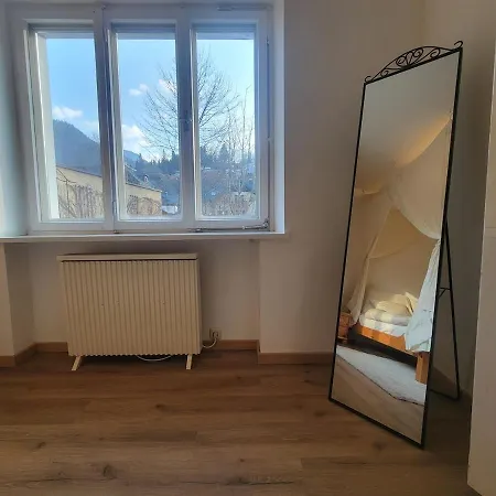 Ausseer Felsenheim - 100 Qm - Altbau Mit Garten Apartment